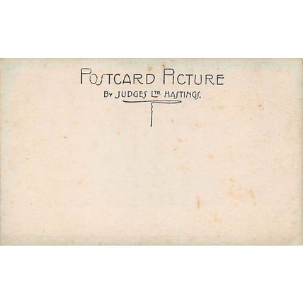 1089 : An Old Inhabitant : a Judges real photo-style postcard