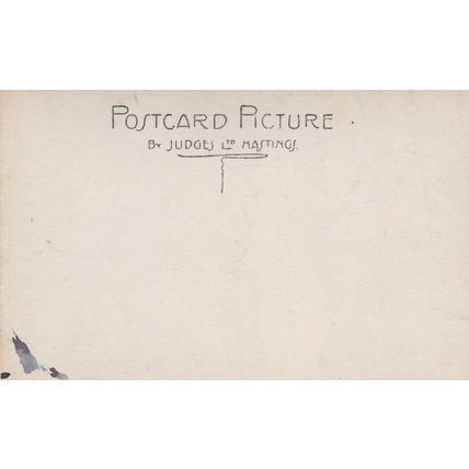 EC808 FOWEY - BULL HILL . JUDGES POSTCARD
