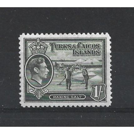 Turks&Caicos.SG202a 1s Raking Salt (Grey-Olive).Mounted Mint.Aug24a