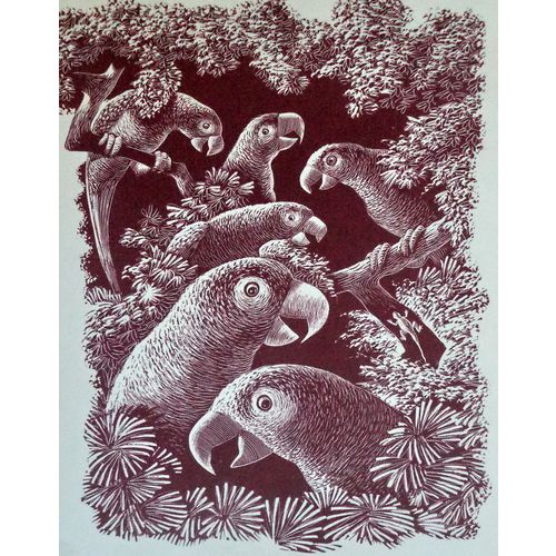 Vintage Leonard Everett Woodcut Print PARROT bird art room decor kids gift frame