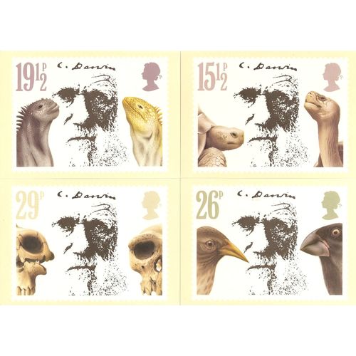 PHQ cards x 4 mint loose Darwin set