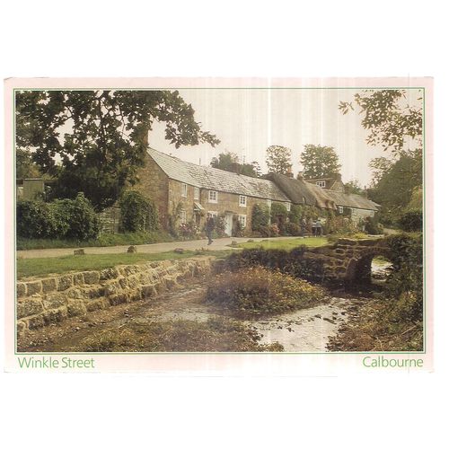 WINKLE STREET, CALBOURNE, ISLE OF WIGHT unused postcard J.Arthur Dixon =