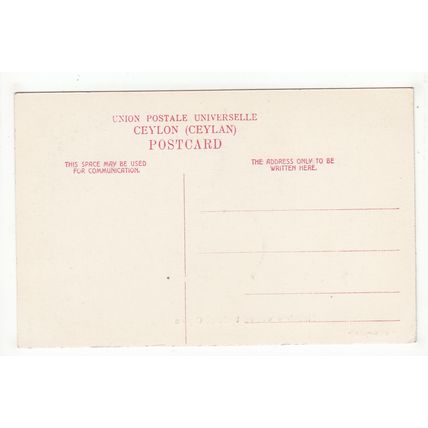 Sinhalese Women Bathing Ceylon Animated Postcard