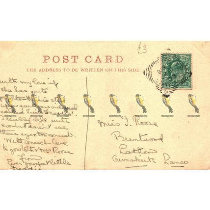 Choir, Chester Cathedral, Old Style Postmark Reliable Series Postcard, 1903