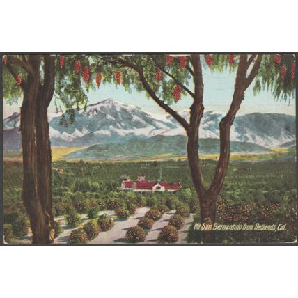 Mount San Bernardino from Redlands, California, c1910 - Souvenir Pub Co Postcard