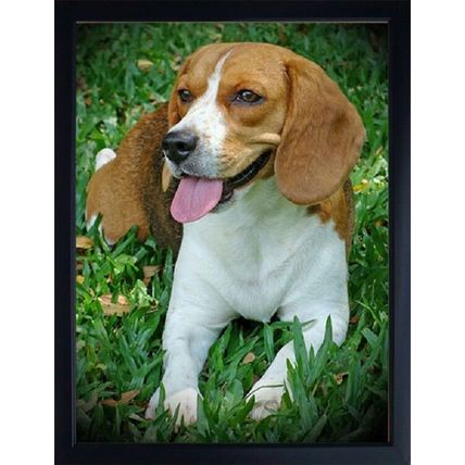 Beagle 3D fridge magnet Great Christmas stocking filler