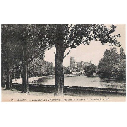 77 - Meaux - PROMENADE DES TRINITAIRES