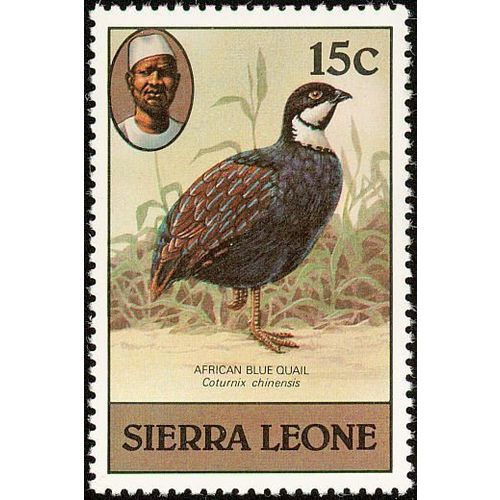 Sierra Leone 1980 Birds 15c Blue Quail Unmounted Mint NHM SG 628A postage stamp