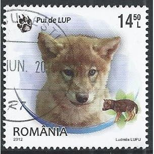 Mi 6666: 14 L. 50 multicoloured Young Wildlife: Wolf Cub (Canis lupus).
