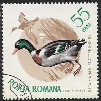 1965 Michel 2434 - cancelled - BIRD