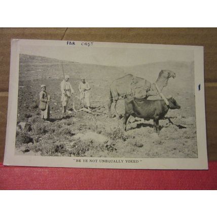 'BE YE NOT UNEQUALLY YOKED', PALESTINE unused vintage postcard Israel? =
