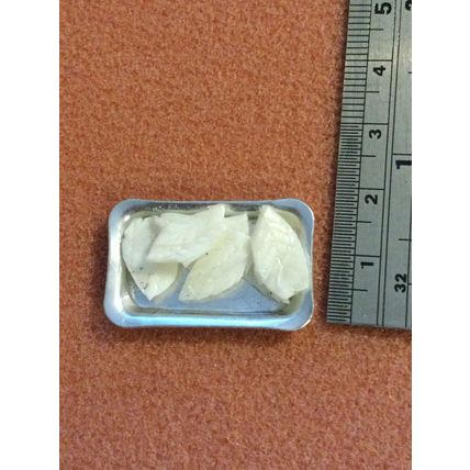 Tray of White Fish Fillets 1:12th Dolls House Miniature