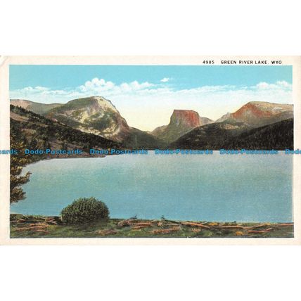 R054375 Green River Lake. Wyo. Robins