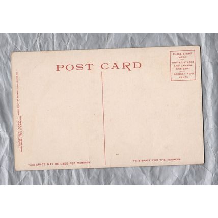 10546 Discovered - Postally Unused - Detroit Publishing Co. Postcard