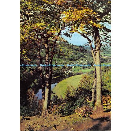D025507 River Wye. Symonds Yat. Harvey Barton. 1972