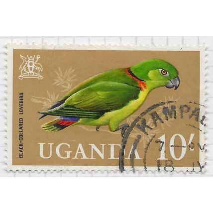 UGANDA 1965 BIRDS BLACK COLLARED LOVEBIRD 10/- USED SG125