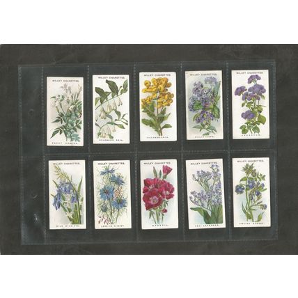 Flowers A full set of Wills Cigarette Cards Old English Garden Flowers 2nd 1915