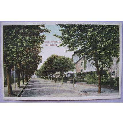 pre 1918 postcard The Avenue, Minehead