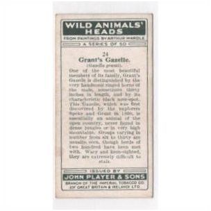 1931 John Player Cigarette card Wild Animals Heads No.24 GRANT'S GAZELLE