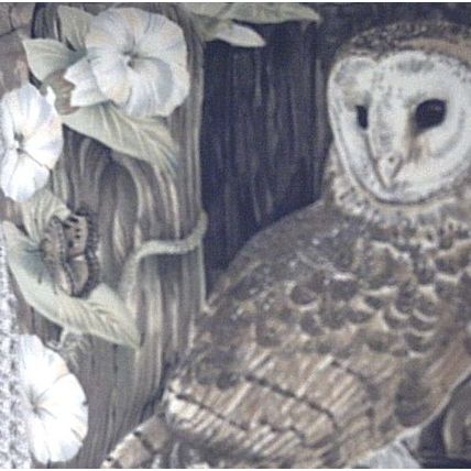Beautiful Barn owl in barn window cushion ( very rare) pillow