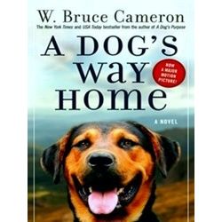 A Dog's Way Home