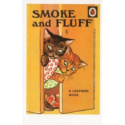 Smoke & Fluff Cats Ladybird Childrens First Edition Book Postcard