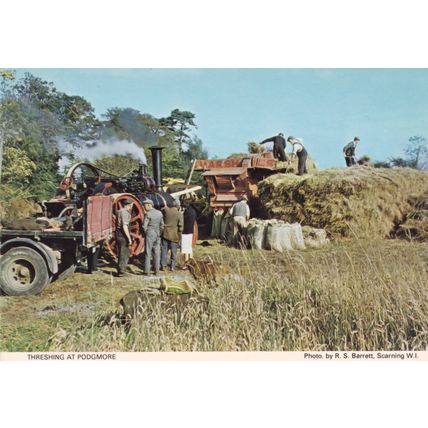 Threshing at Podgmore Norfolk Village Rare Postcard