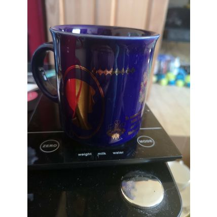 Charles And Diana Royal Wedding Mug