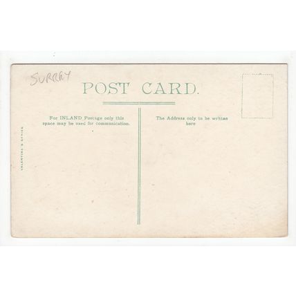 The Ruins Virginia Water Postcard Surrey V18