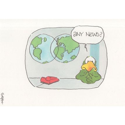 Frog Animal BBC News World Map Style Comic Newsreader Postcard