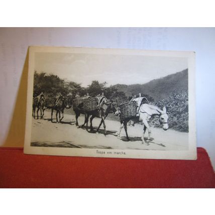 TROOP ON THE MARCH, DONKEYS PORTUGAL? unused Portuguese antique postcard #