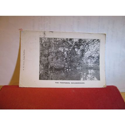 THE FISHPONDS, GUILSBOROUGH, NORTHAMPTONSHIRE. used antique postcard A H Vogt =