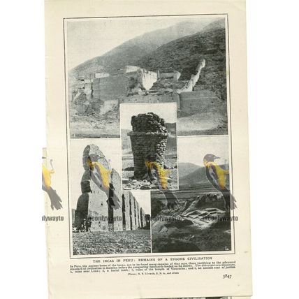 Inca Remains, Peru, South America, Book Illustration (Print), 1909