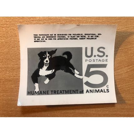 USA Etats-Unis USPS -Publicity Essay Kodak Humane Treatmant of Animals Chien Dog