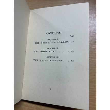 RARE* c1920s AMY LE FEUVRE "BUNNY'S FRIENDS" FICTION ILLUSTRATED BOOK (P3)