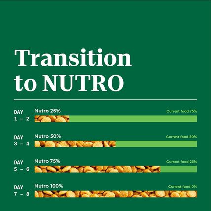 Nutro Natural Choice Adult Large Breed Dry Dog Food, Chicken and Brown Rice Reci