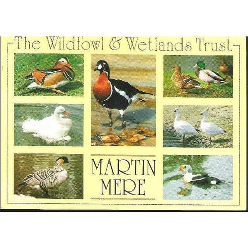 Martin Mere, Lancashire nr Burscough - Wildfowl & Wetlands Trust c. 1980s