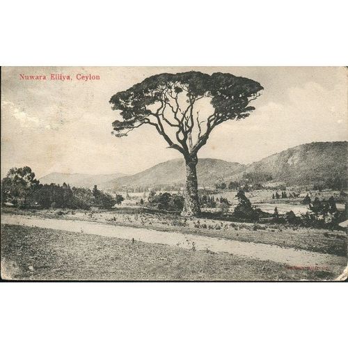 Antique Ceylon (Sri Lanka) PC 1908 - Nuwara Elliya, Ceylon