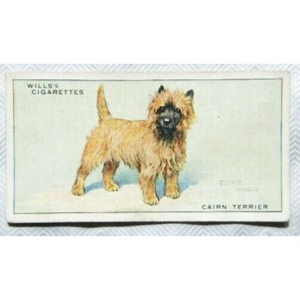 1937 Wills Dogs No. 40 Cairn Terrier