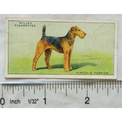 1937 Wills Dogs No. 37 Airdale Terrier