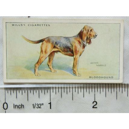 1937 Wills Dogs No. 4 Bloodhound