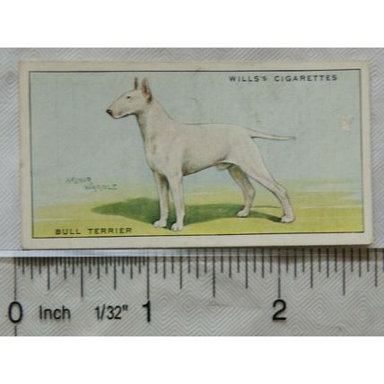 1937 Wills Dogs No. 39 Bull Terrier