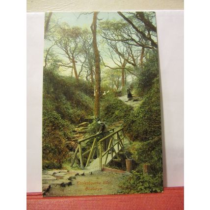 ECCLESBOURNE GLEN, HASTINGS, SUSSEX. unused antique postcard =