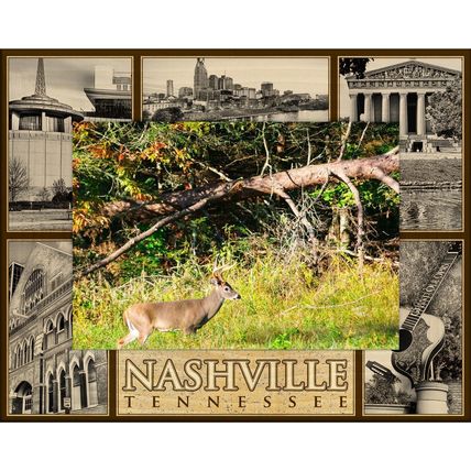 Nashville Tennessee Montage Laser Engraved Wood Picture Frame Landscape (4 x 6)