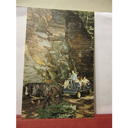 LOST CANYON, WISCONSIN DELLS, WISCONSIN, USA unused postcard HORSE AND CART /