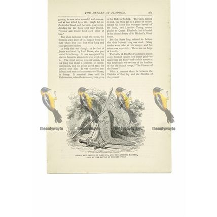 Flodden Field, Weapons & Banners, Book Illustration (Print), 1891