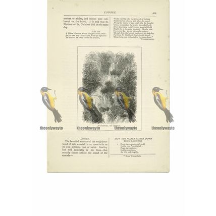 Waterfall of Lodore, Cumbria, Book Illustration (Print), 1891