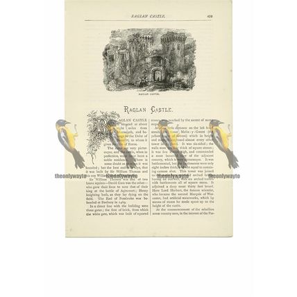 Raglan Castle, Monmouthshire, Book Illustration (Print), 1891