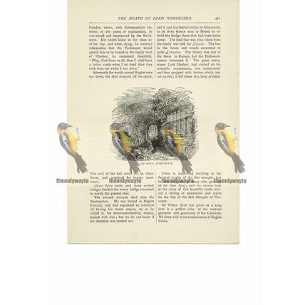 Raglan Castle, Royal Apartments, Monmouthshire, Book Illustration (Print), 1891