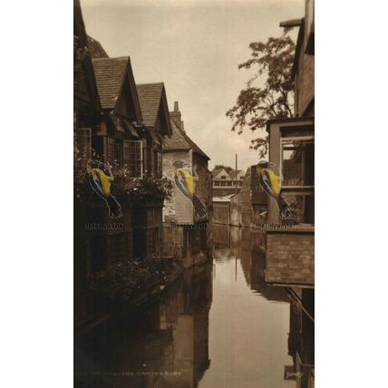 Weavers, Canterbury, Kent, RP Judges Postcard